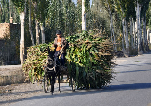 Kashgar